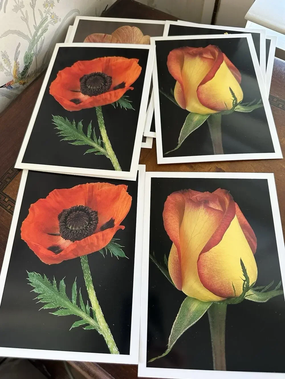 Lauritzen Gardens Note Cards Set Of 8 By Amy Lamb